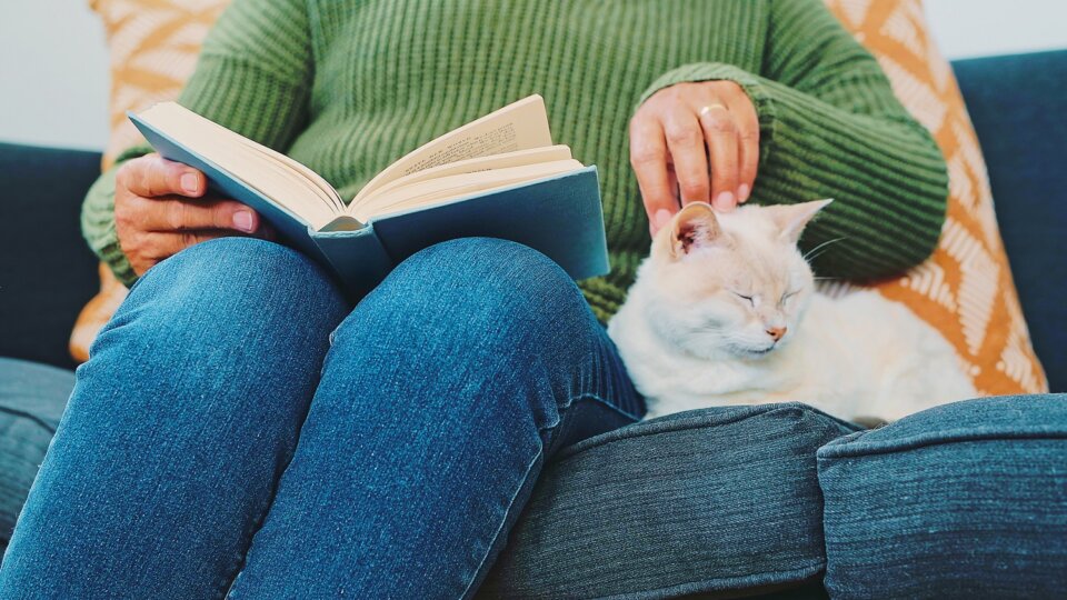 Cropped shot of an unrecognizable senior woman stroking her cat as she reads a book while sitting on the sofa in her apartment